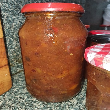 finishedChutney4